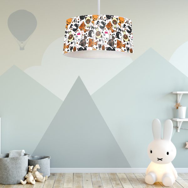 Kids Ceiling Lamp PK084