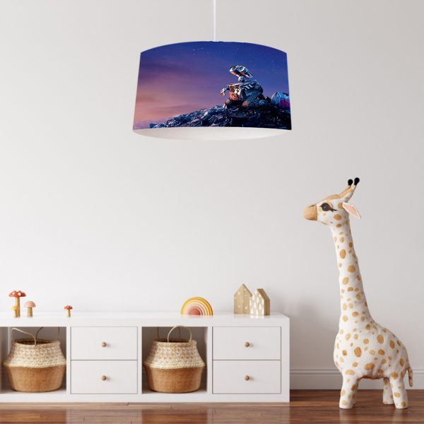 Kids Ceiling Lamp PKD098