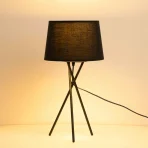 Modern Lampshade  TA361