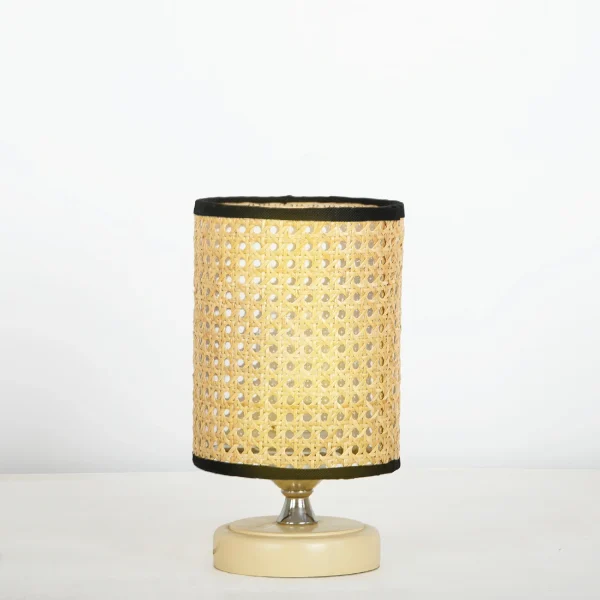 Modern Lampshade  NCA29